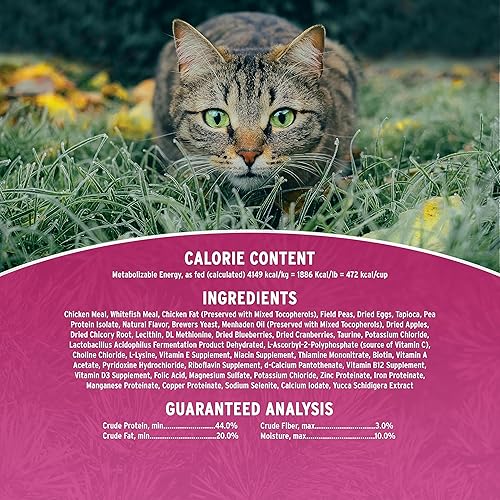 Miniatura 4 de Annamaet Alimento seco para gatos con fórmula felina sin granos, (pollo y pescado), bolsa de 4 libras