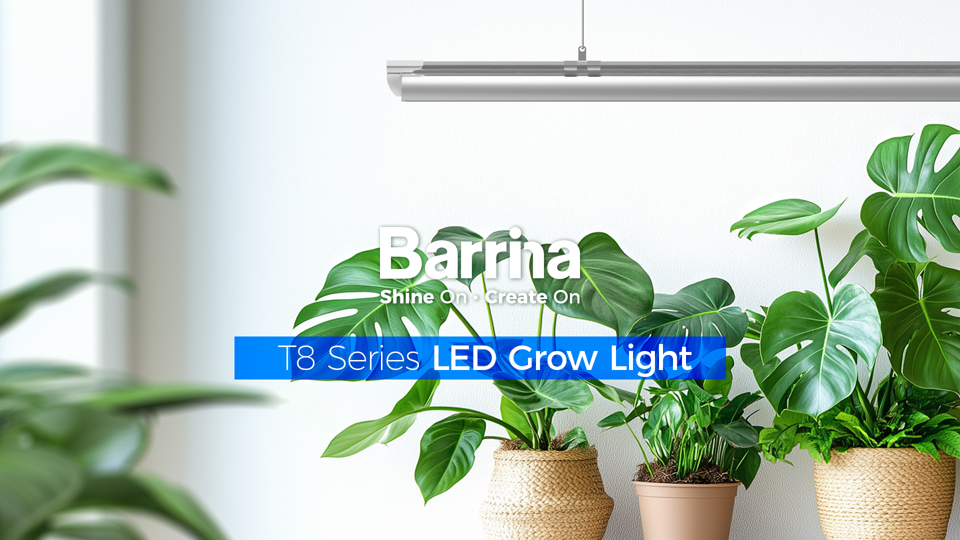 Watch Barrina T8 LED Grow Light for Indoor Plant, Full Spectrum on ...