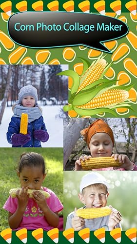 Fabricante de colagem de milho