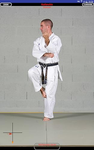 KARATE SHITO-RYU 2