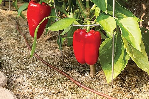 Miniatura 3 de Rain Bird ET256-50S Tubo emisor de presión de riego por goteo compensadora de 14 de pulgada, espaciado entre emisores de 6 pulgadas, 50 rollos,