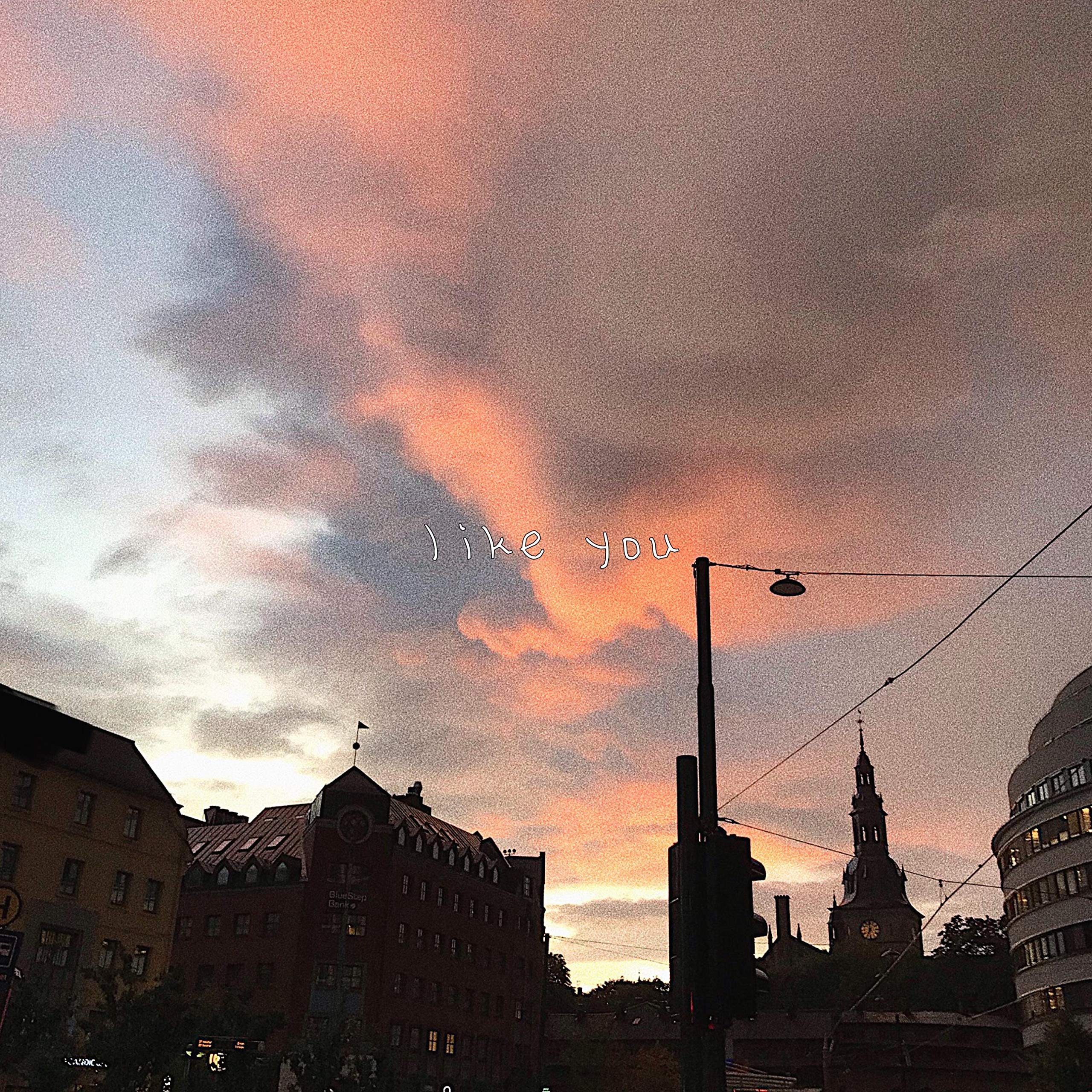 Braden Ross, Days to Waste & fawlin