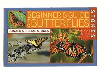 A1KQ9l0xVyL._AC_UF350,