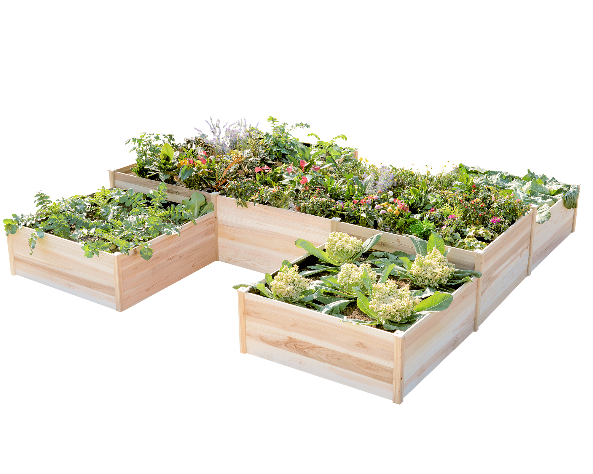 Amazon.com: Jocisland H-Shaped Raised Garden Bed, 12x12x2 ft, 180