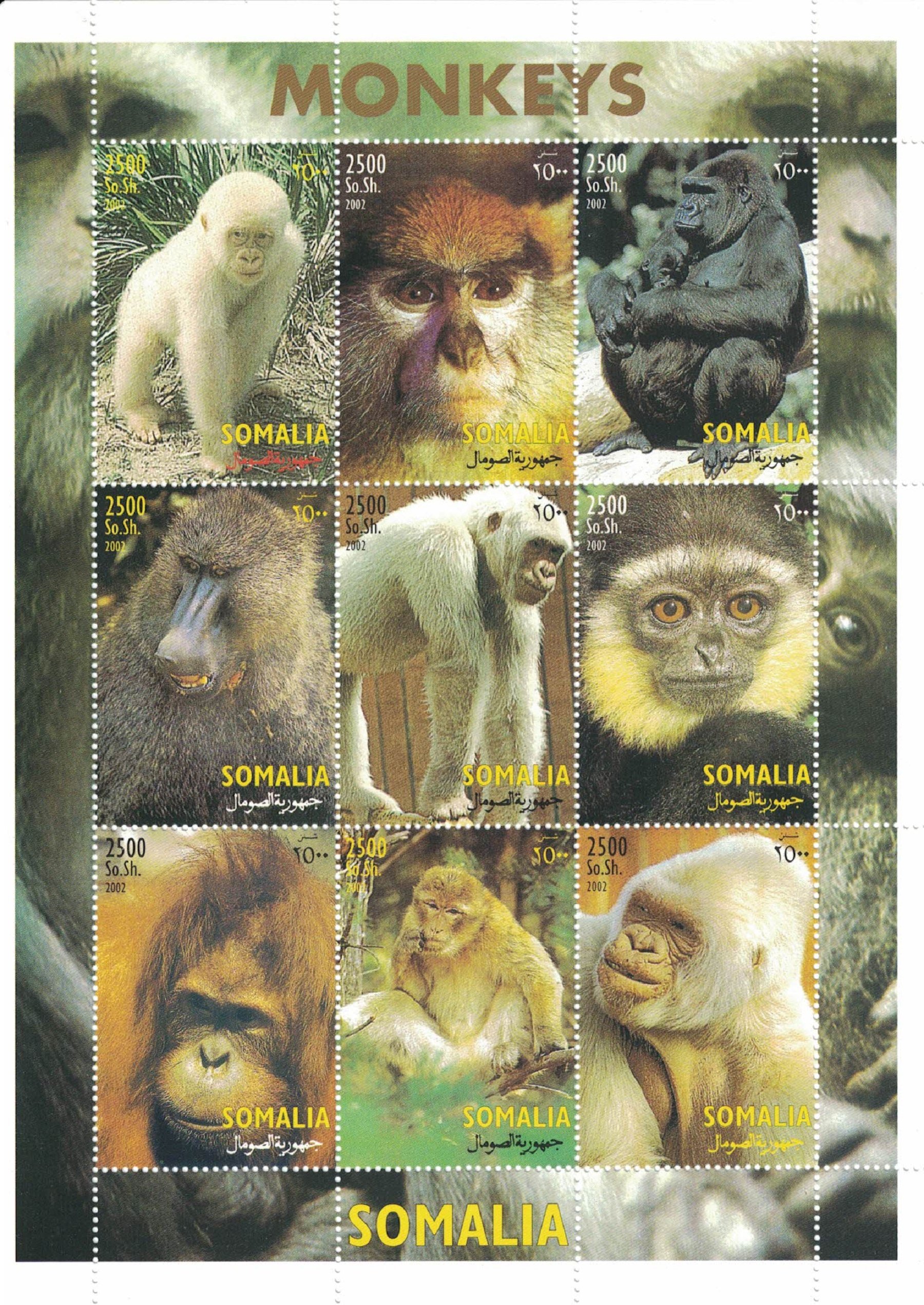 Somalia Briefmarken Kollektion – 50 Verschiedene Marken Für Sammler