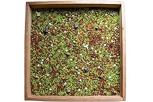 Sensory Bin Forest Rice - Learning Activities for Toddlers