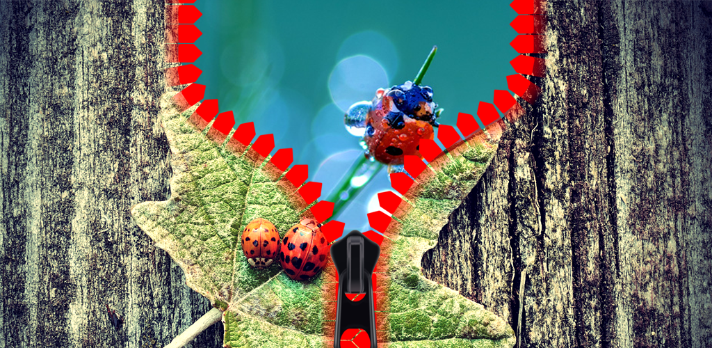 シクラメンにてんとうむしlithograph 美品 John Derian てんとう虫のマグカップ – ATELIER ONLINE