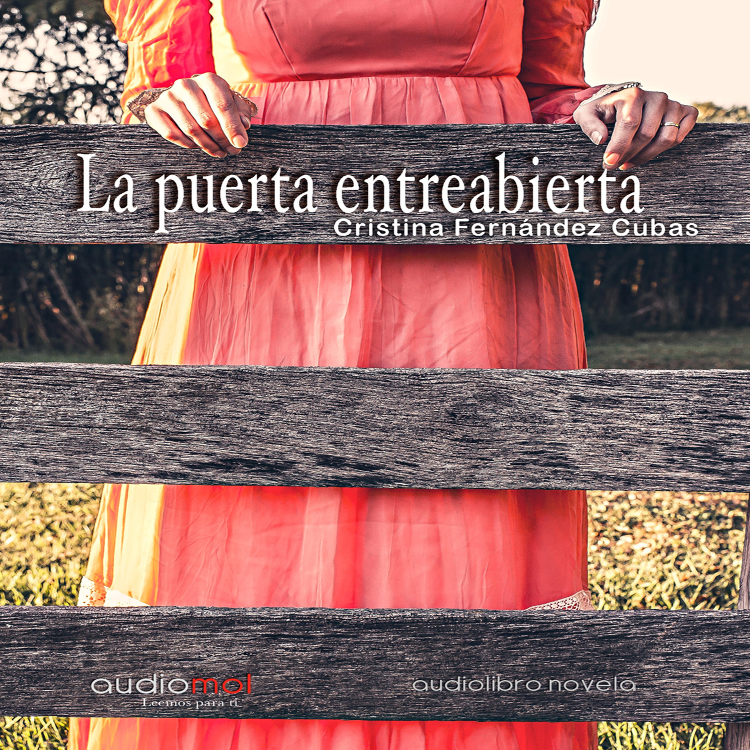 Cover art for La puerta entreabierta
