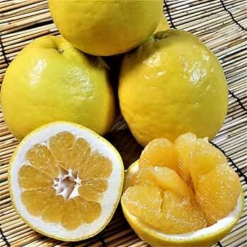 愛南ゴールド Amazon.co.jp: 愛南ゴールド 河内晩柑 家庭用5kg 愛媛 愛南町産