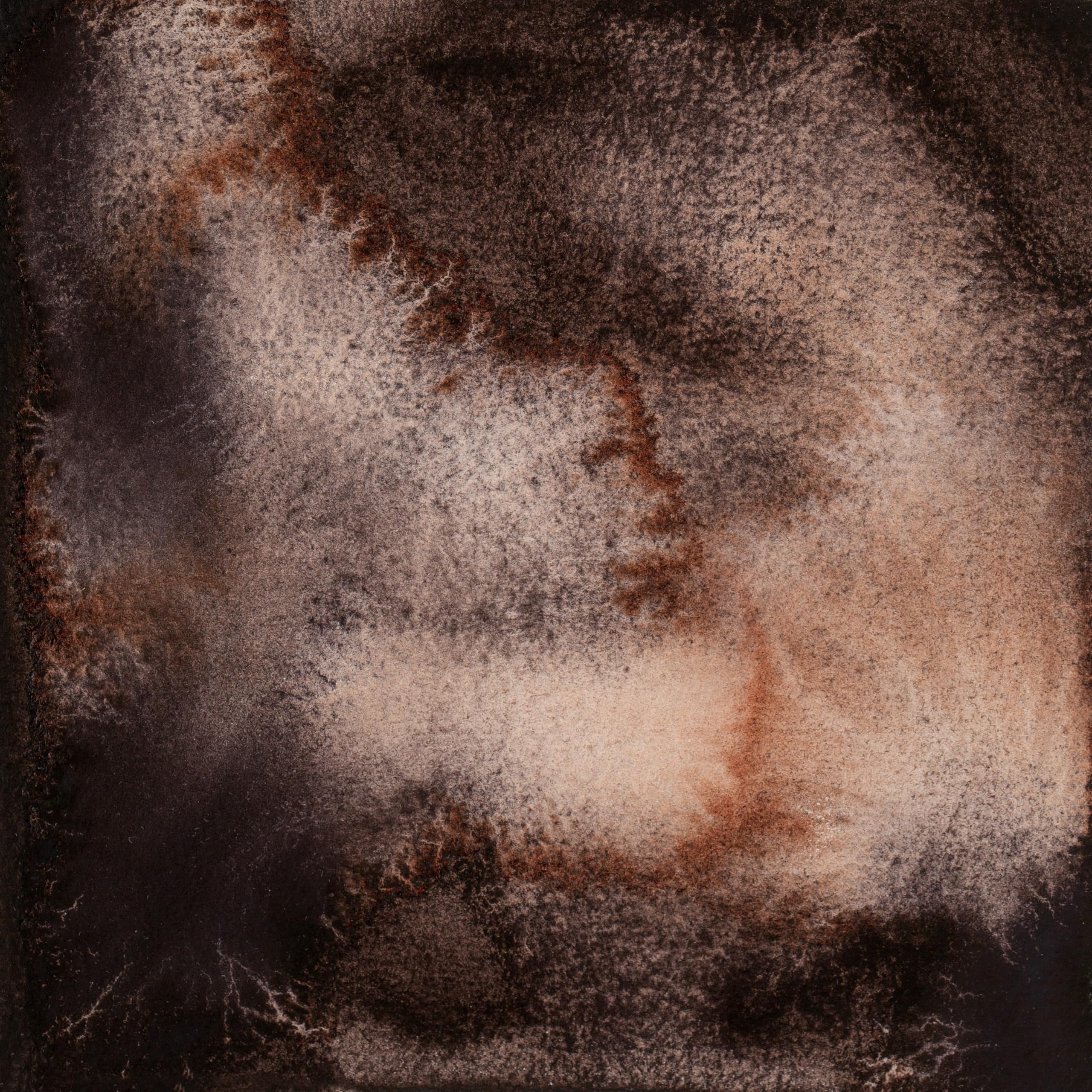 White Nights Limited Edition Granulation Metamorphoses Watercolor Collection of Professional Artist Grade Paints Vibrant Lightfast Colors by Nevskaya Palitra (Metamorphose cardboard)