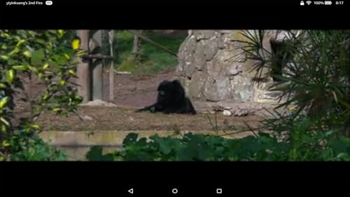 YouTube,Sports,Musics,Movies,Live,Fashion...