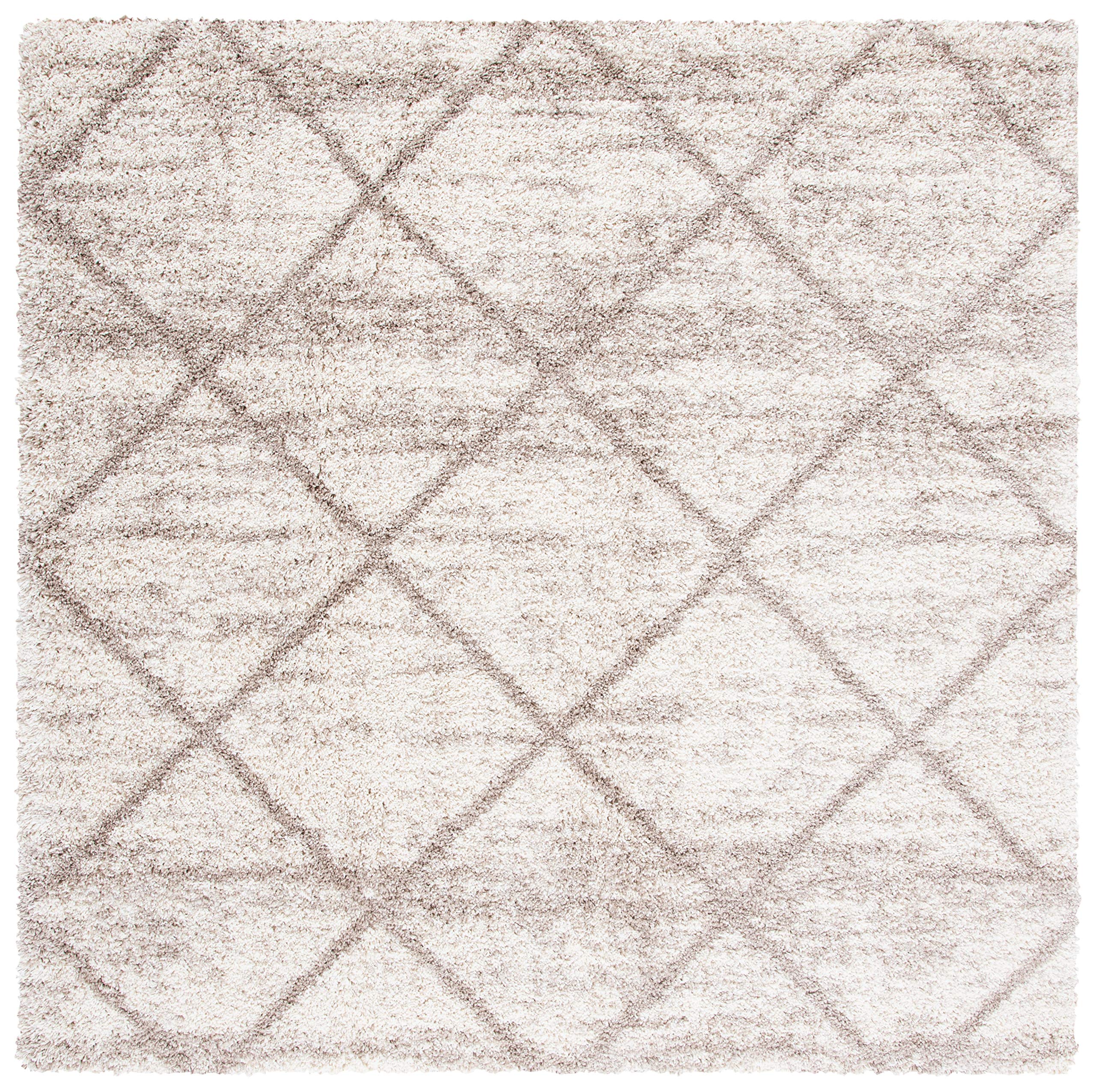Amazon | Safavieh Hudson Shag Collection 5' x 5' Square Multi
