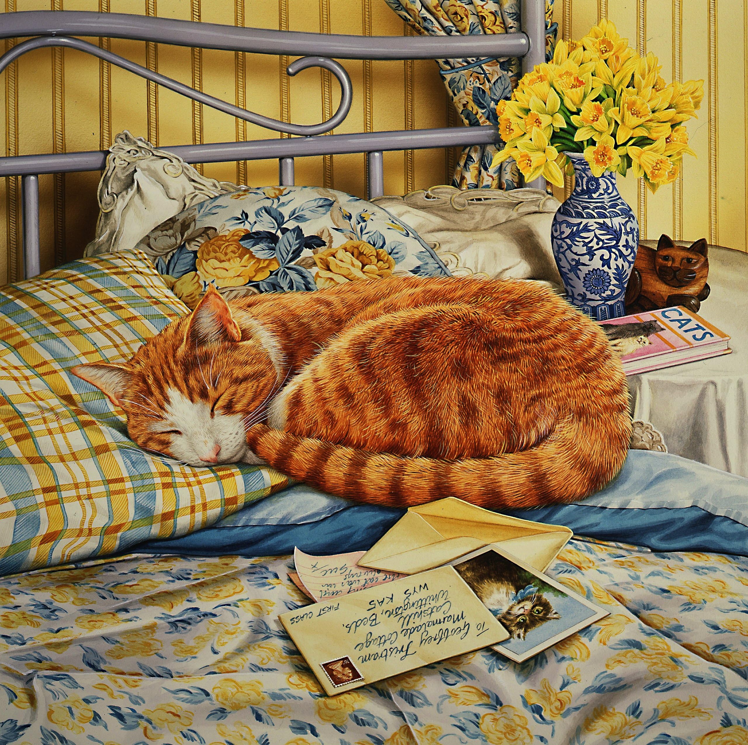 Flora, the Ginger Cat asleep on the Bed, Greeting Card by Geoff Tristram, Greetings Card Size Approx. 140 x 140mm