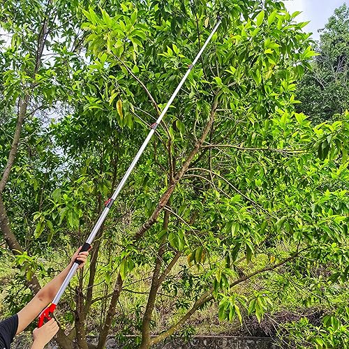 Miniatura 7 de Cortadores de árboles extensibles de 4.5 a 11.5 pies, 4 secciones con ajuste de mango, podadoras de corte y sujeción, tijeras de podar de sierra de
