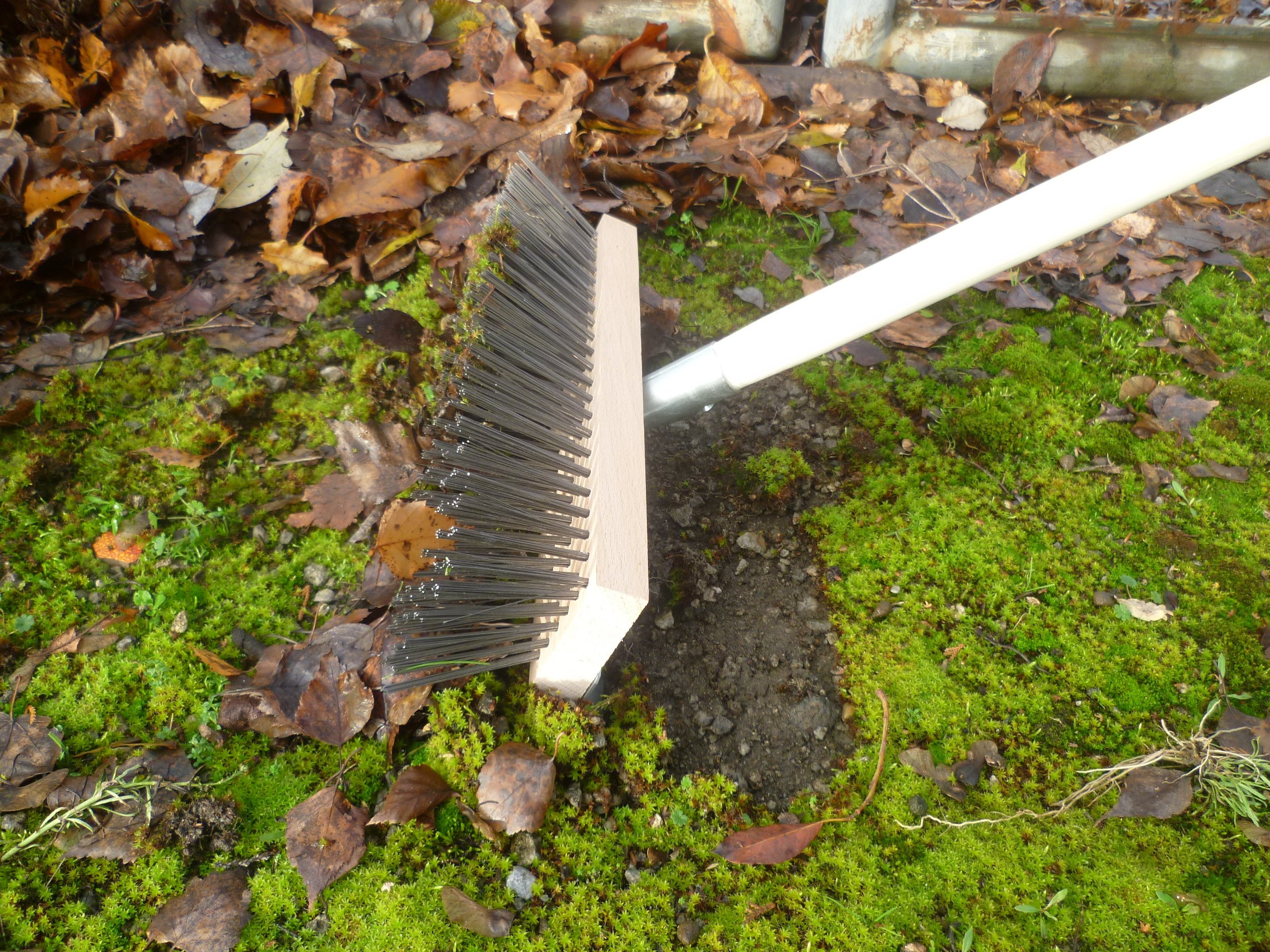 Drahtbesen 30 cm mit Schabekante, 24 mm Metallhalter, Schneebesen, Kratzbesen, Laubbesen