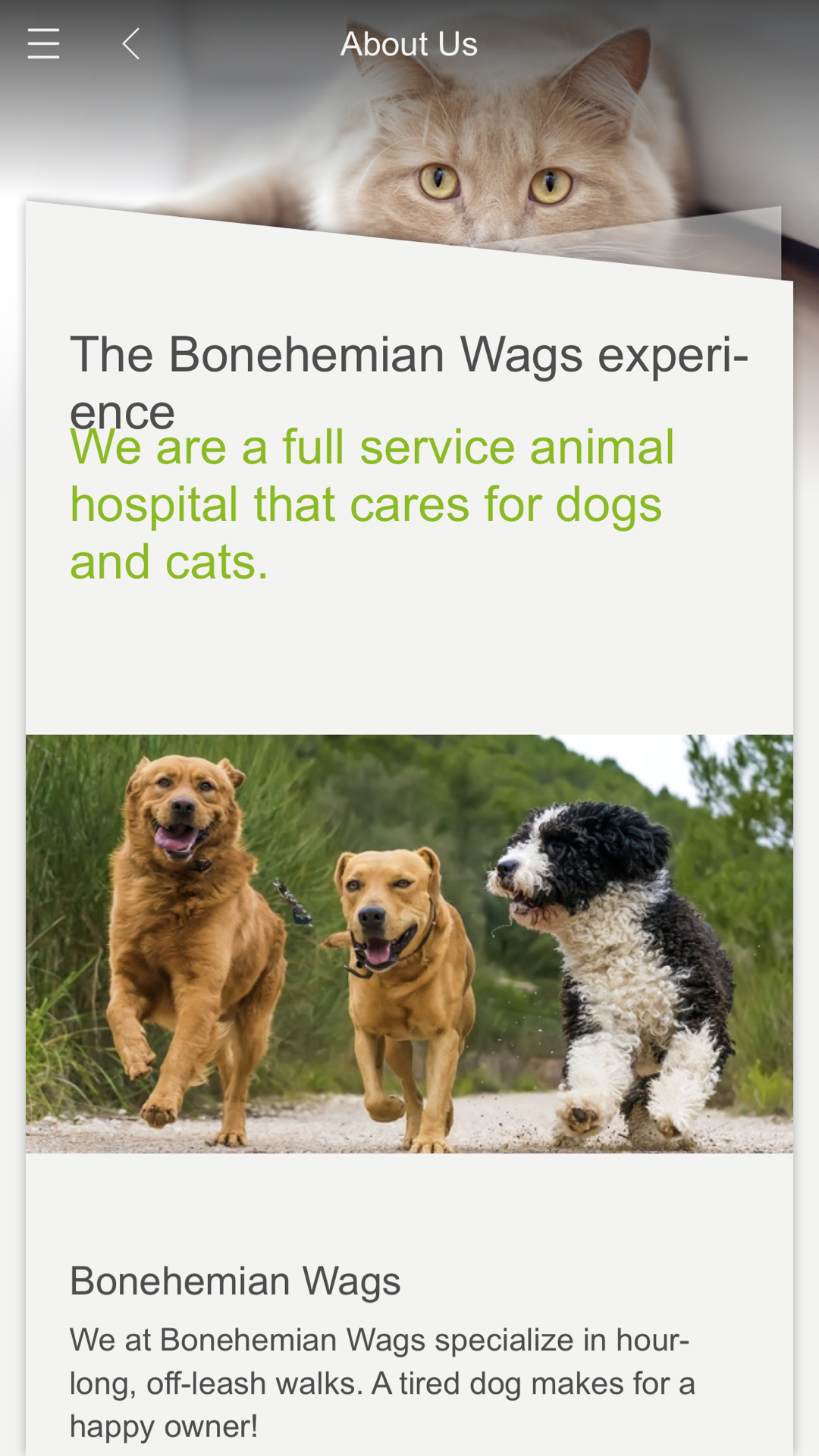 Bonehemian for Android