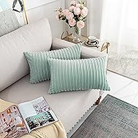 Vista 760 de UGASA - Juego de 2 fundas de almohada de terciopelo a rayas, funda decorativa para cojín con cremallera oculta para el hogar, sofá, dormitorio