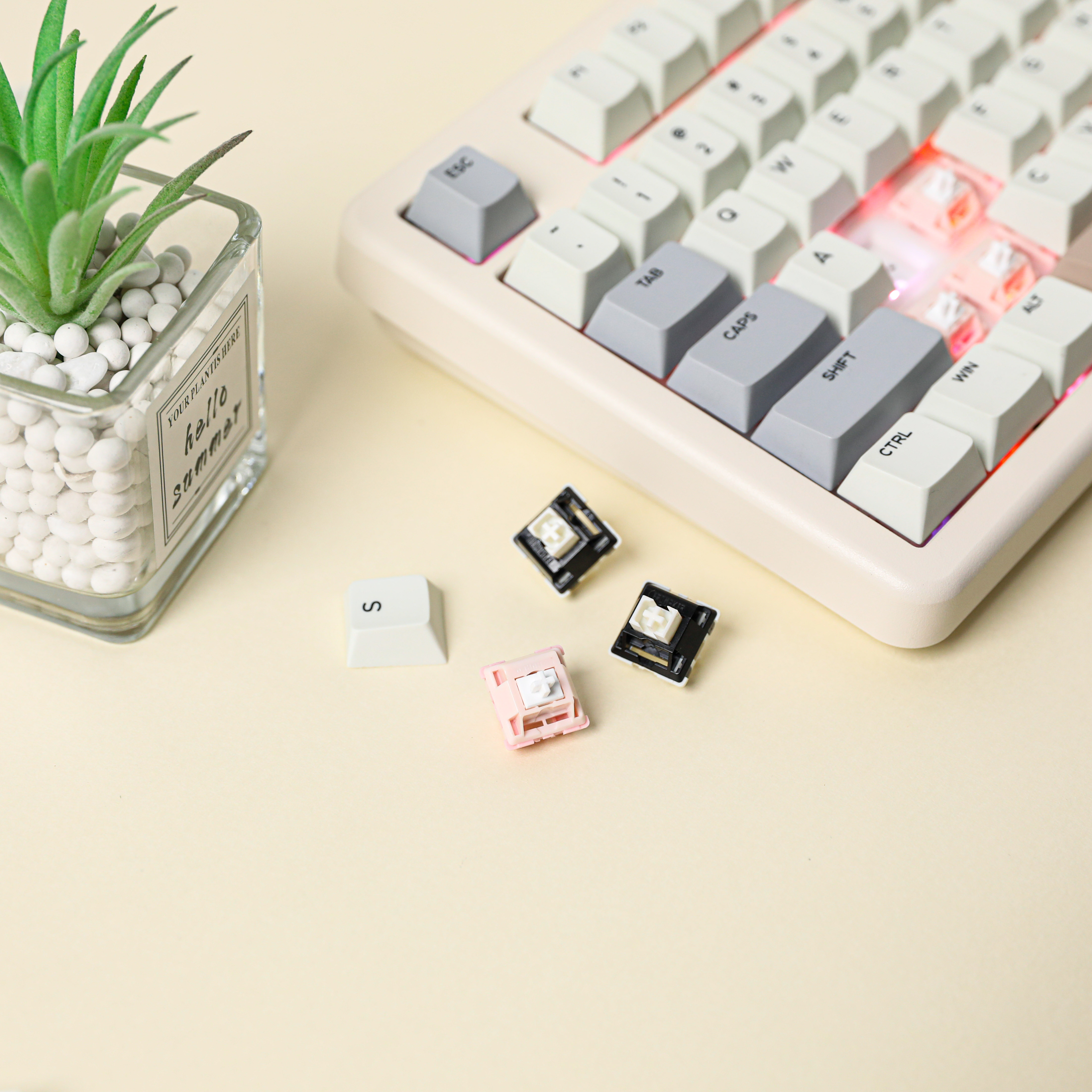 Amazon.com: EPOMAKER Galaxy70 Wireless Gaming Keyboard, 75