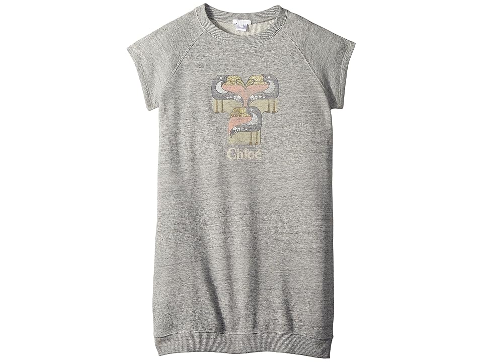 

Chloe Kids Mini Me Faded and Pelicans Short Sleeve Dress (Big Kids) (Gris Chine) Girl's Dress