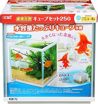 Amazon | 【在庫限り/メーカー終売】ジェックス 金魚元気 キューブ