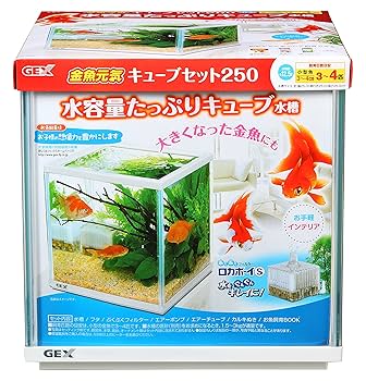 JJ様　　ジキジキの実 楽天市場】ウキ工房 ZIROCHOU 仙エ門 限定サイズ：0 G2 B 5B