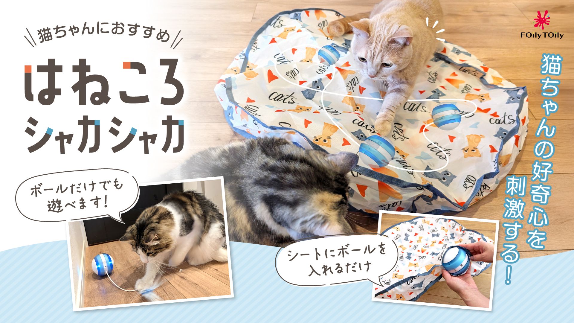 Amazon | FOily TOily猫ボール電動おもちゃ 自動一人遊び 猫おもちゃ羽