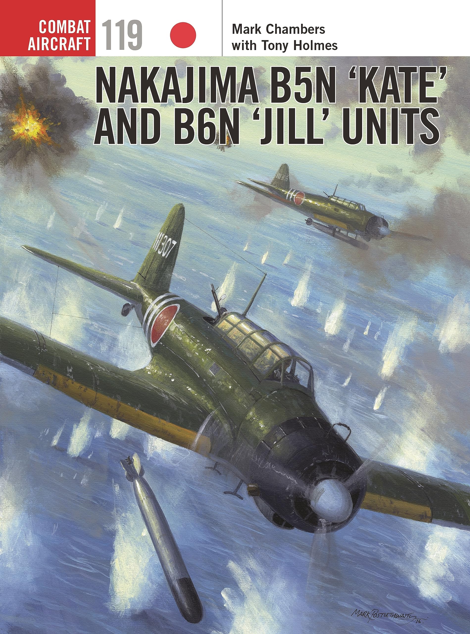 Nakajima B5N ‘Kate’ and B6N ‘Jill’ Units: 119 (Combat Aircraft)