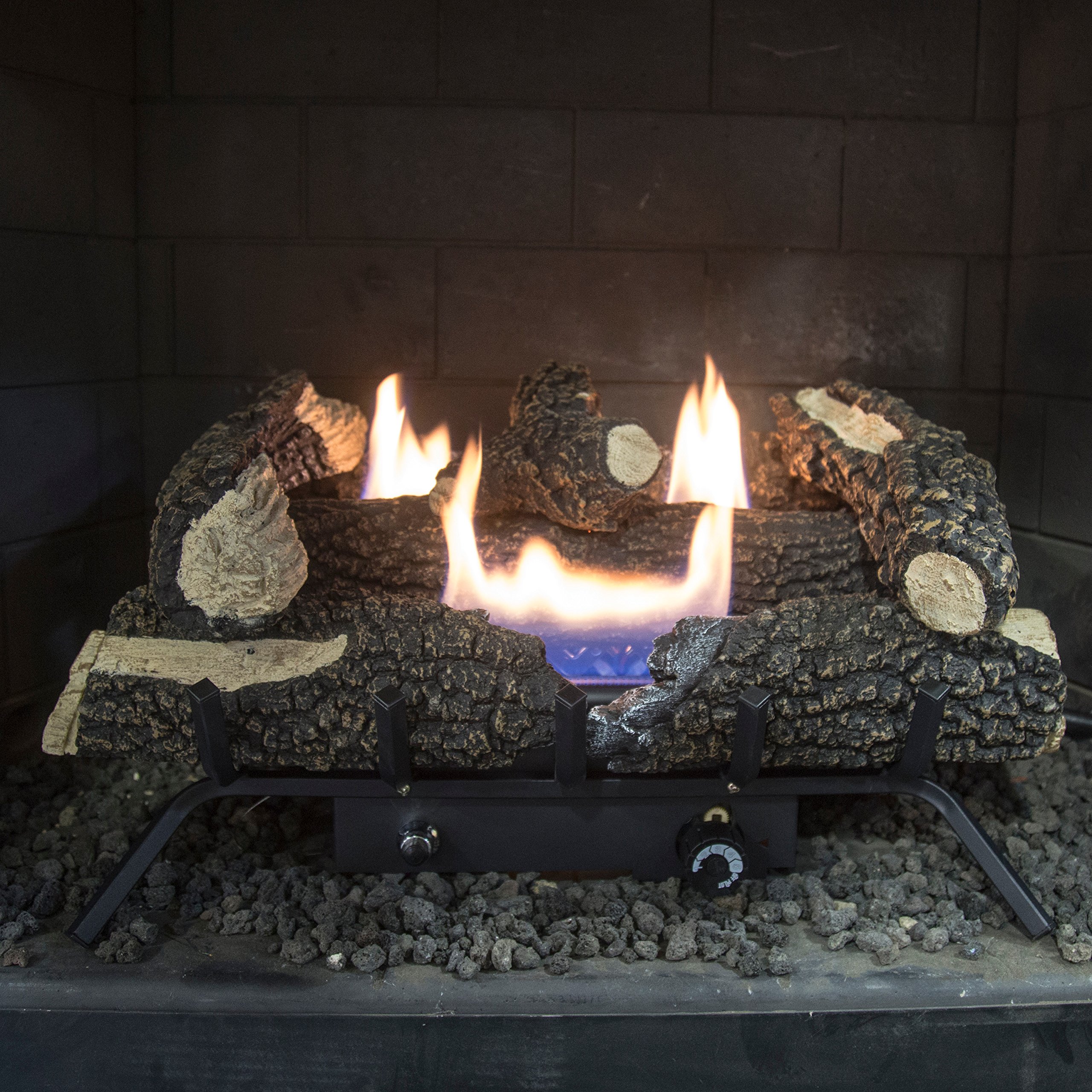 Amazon.com: Pleasant Hearth VFL2-WW24DT 30,000 BTU 24 Dual Fuel Wildwood  Vent Free Gas Log Set : Home u0026 Kitchen