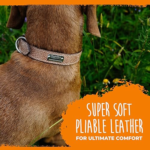 Miniatura 4 de Mighty Paw Collar de cuero para perro  Cuero auténtico envejecido y una hebilla de metal fuerte. Súper suave para máxima comodidad. Aspecto de