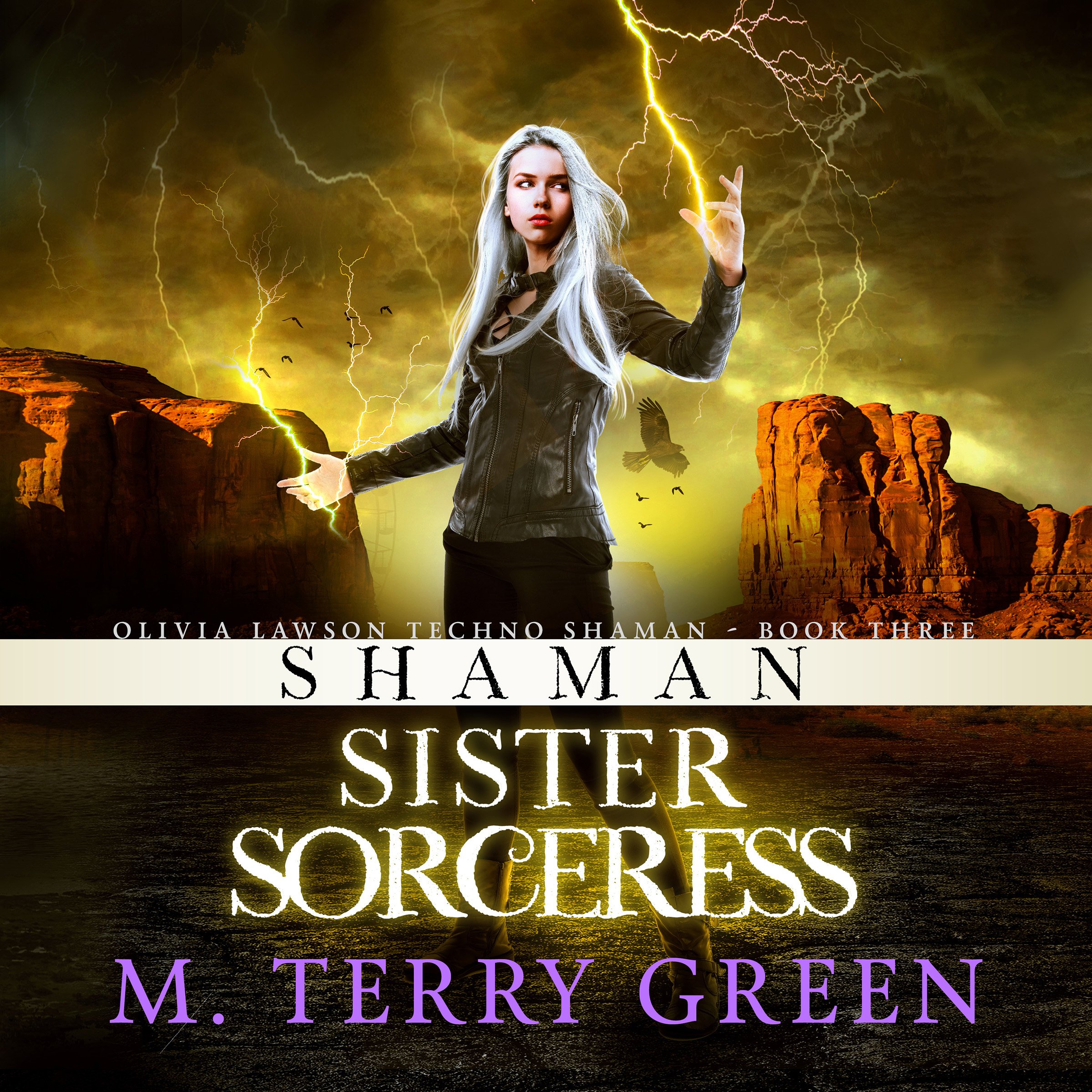 Cover art for Shaman, Sister, Sorceress