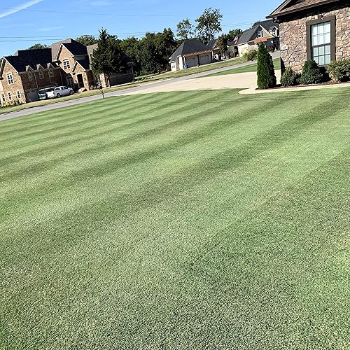 Outsidepride Yukon Warm Season, césped de bermudas tolerantes al frío, semillas de césped  5 libras