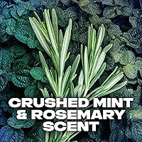 Vista 6 de Axe Desodorante en aerosol corporal para una protección duradera contra el olor, desodorante Phoenix para hombres formulado sin aluminio, 4 onzas, 4