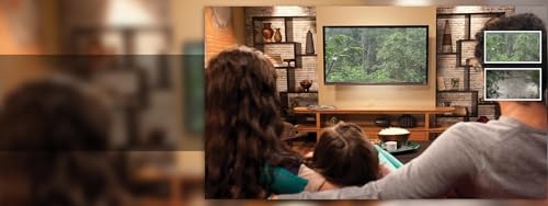 selva chuvosa molhada grátis - tema chuvoso de paz completo para o Natal na sua TV HDR 8k 4k e dispo