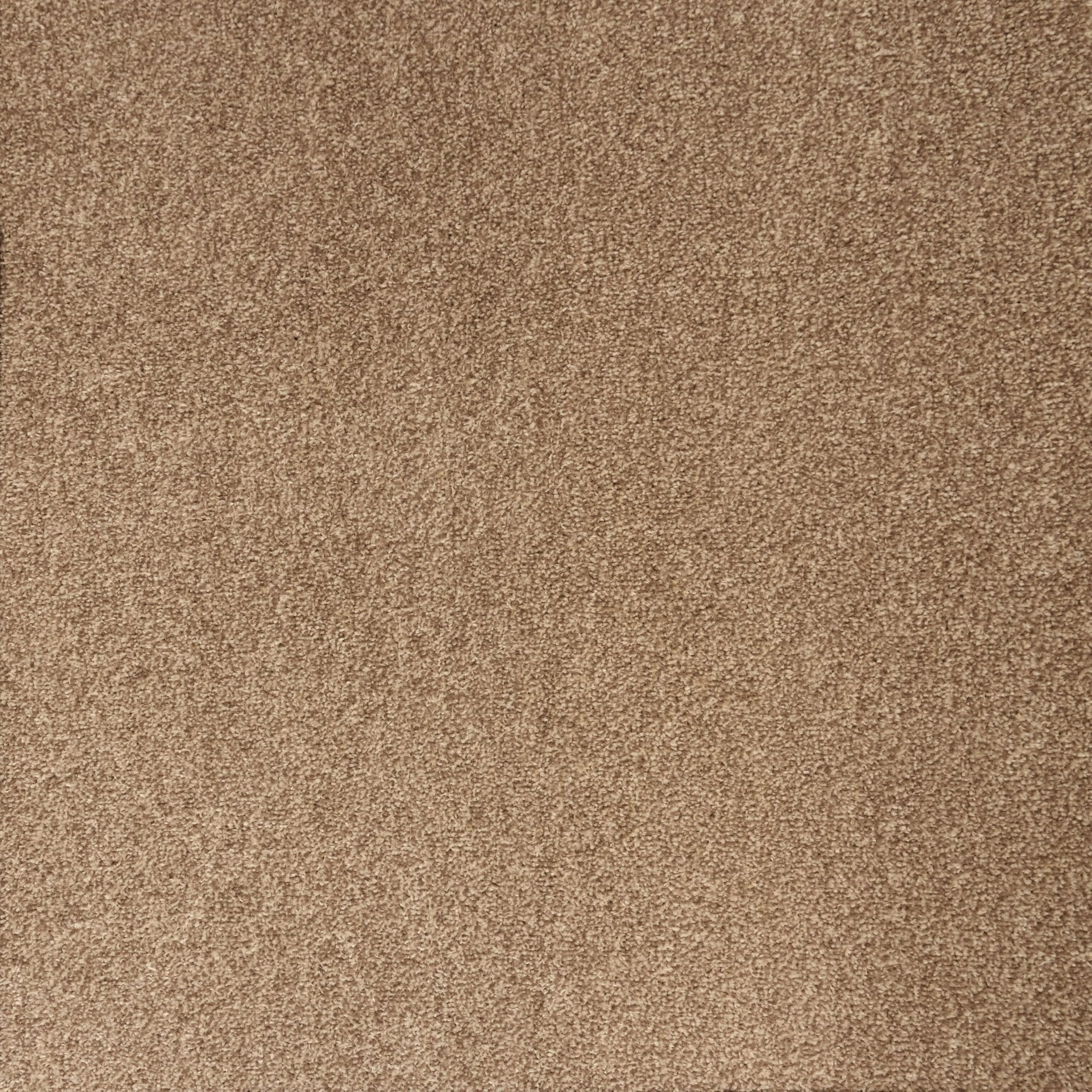 Underfoot Durable Twist Pile Carpet | Action-Backed Carpet | Bleach-Cleanable & Stain-Resistant | Elegant Carpets Colours (Beige, 4m x 5m)