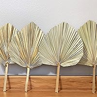 Vista 8 de 2 hojas de palma de color dorado + 2 piezas de color natural