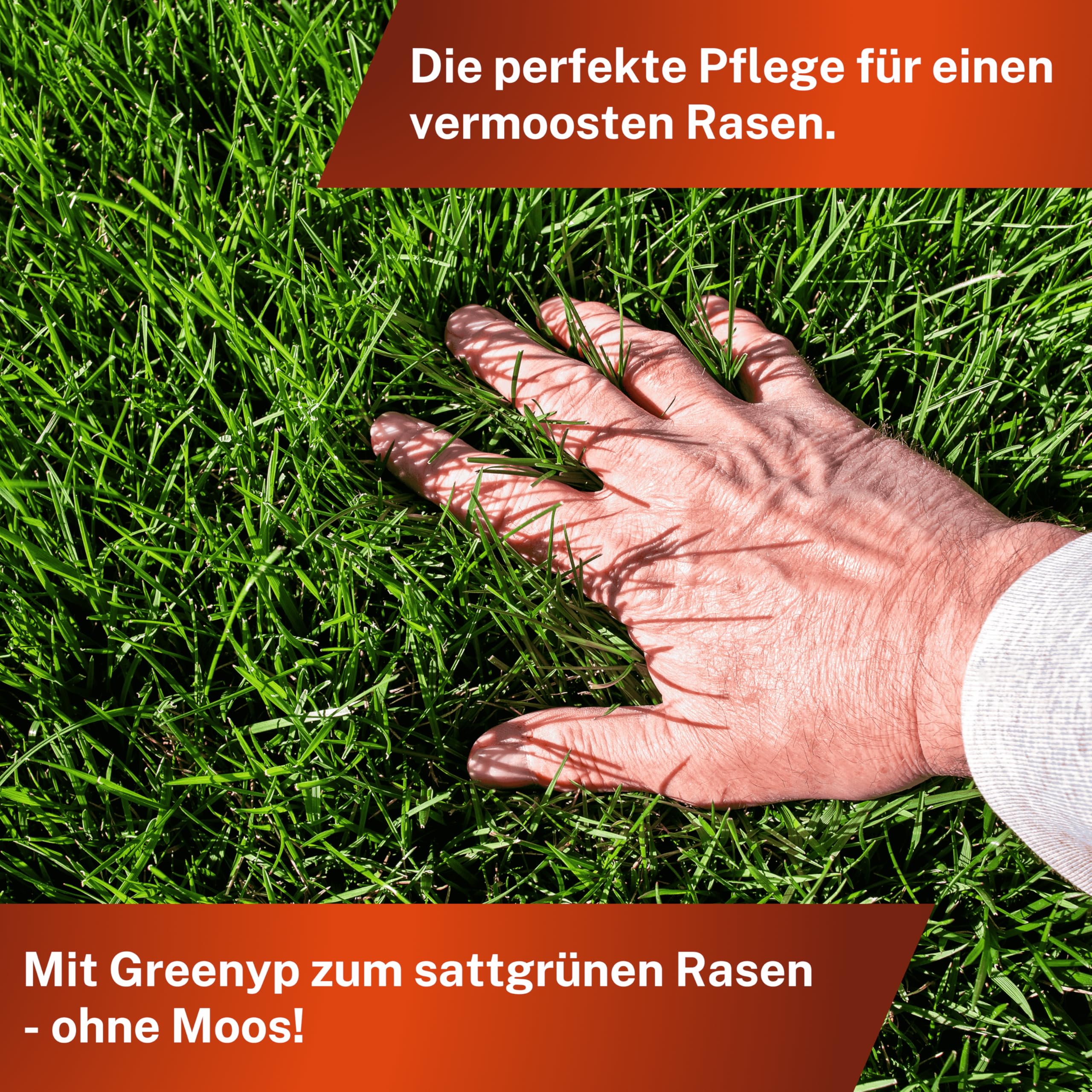 Greenyp Anti Moos Rasendünger I 2in1 Rasen- & Eisendünger 30kg für 600m² | Für Rasenflächen mit Moos | Rasendünger + Eisensulfat granuliert, streuwagengeeignet und staubarm für Frühjahr bis Spätsommer