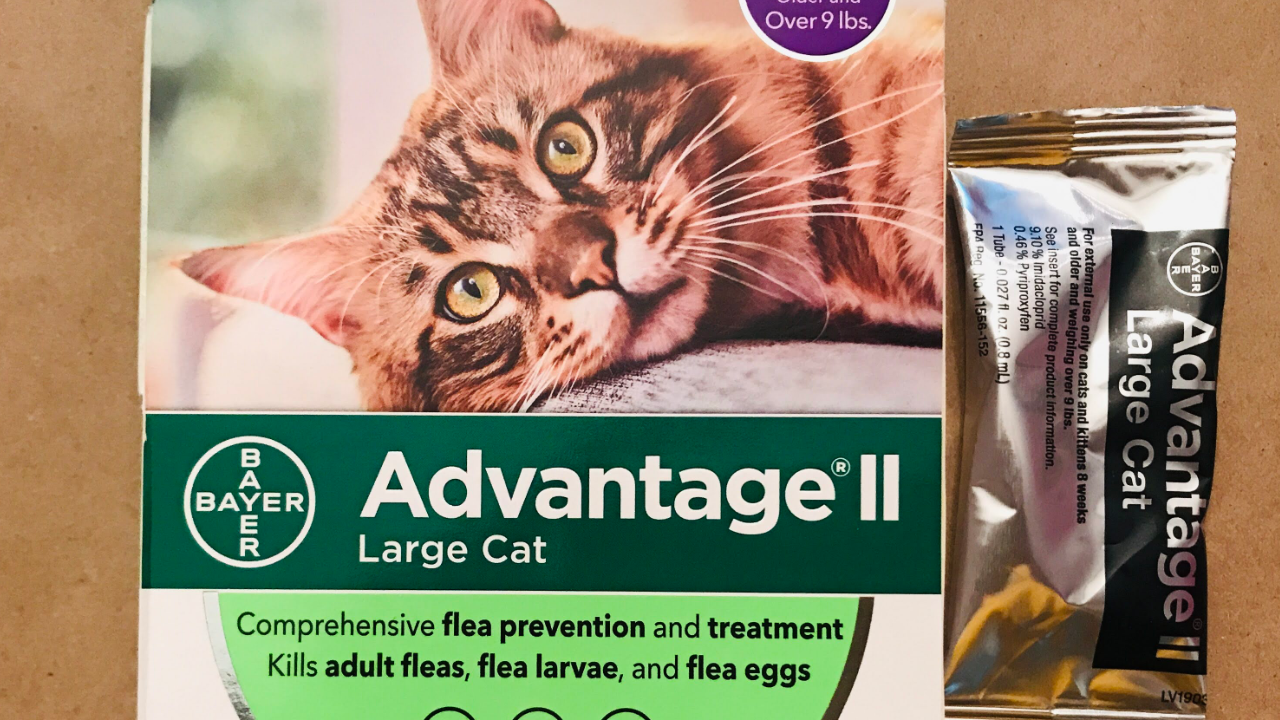 advantage ii for cats amazon