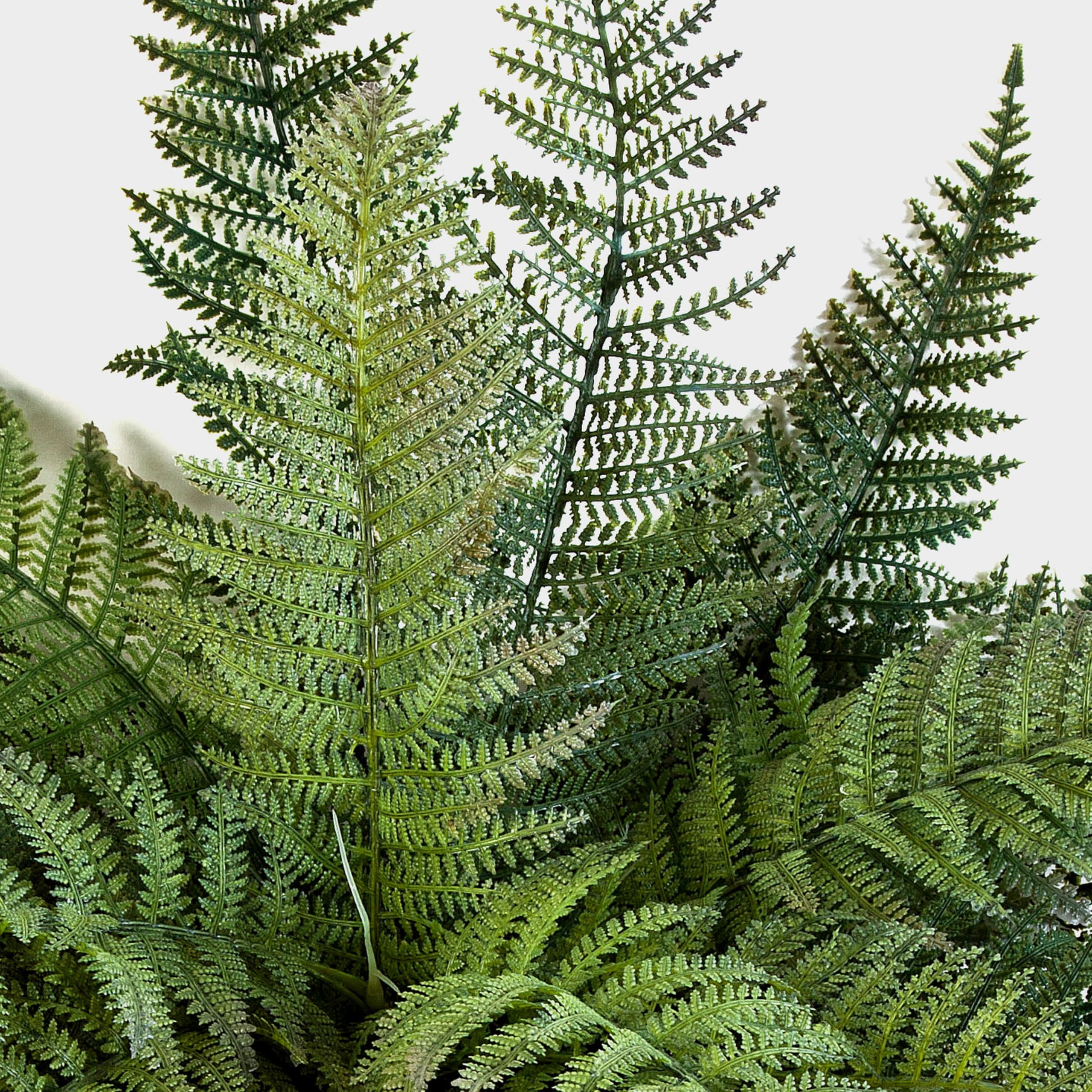 artplants.de Felce Florida Decorativa Aaron, Verde, 50cm, Ø 65cm