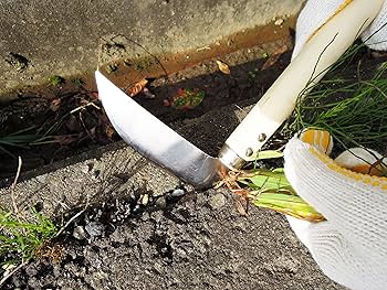 心水　木の葉天目ぐい呑　共箱　直径9.2㎝　東Y5-0413② 心水 木の葉天目ぐい呑 共箱 直径9.2㎝ 東Y5-0413② - メルカリ