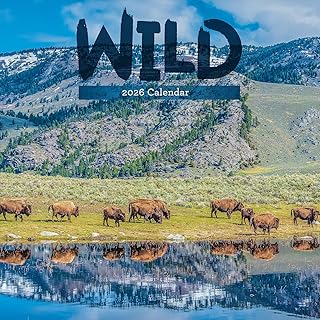 TF Publishing 2026 Wild Wall Calendar - Large Grids for Appointments and Scheduling - Vertical Monthly Wall Calendar 2026 with Premium Gloss Paper for Home and Office Organization - 12in x 12in