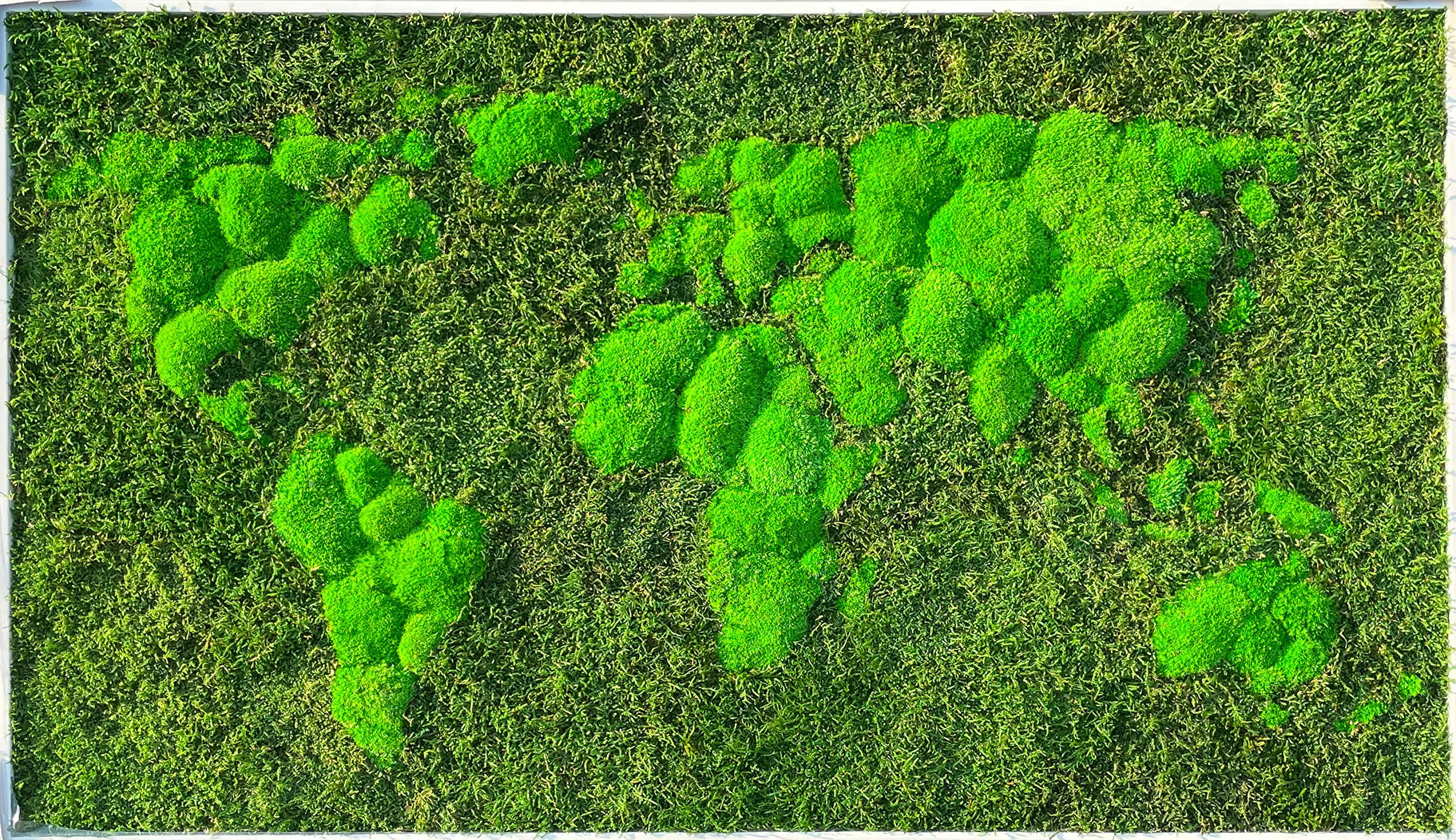 Mapa świata mchu (w ramie) - stabilizowany naturalny mech leśny i porosty nordyckie - grafika ścienna wewnętrzna (112 x 65 cm, zielona - biała drewniana rama)