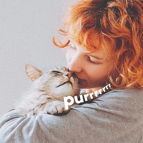 Miniatura 6 de ADAMS Tratamiento de ácaros de oído para perros y gatos de más de 12 semanas, mata los ácaros del oído al contacto, alivio para perros y gatos que