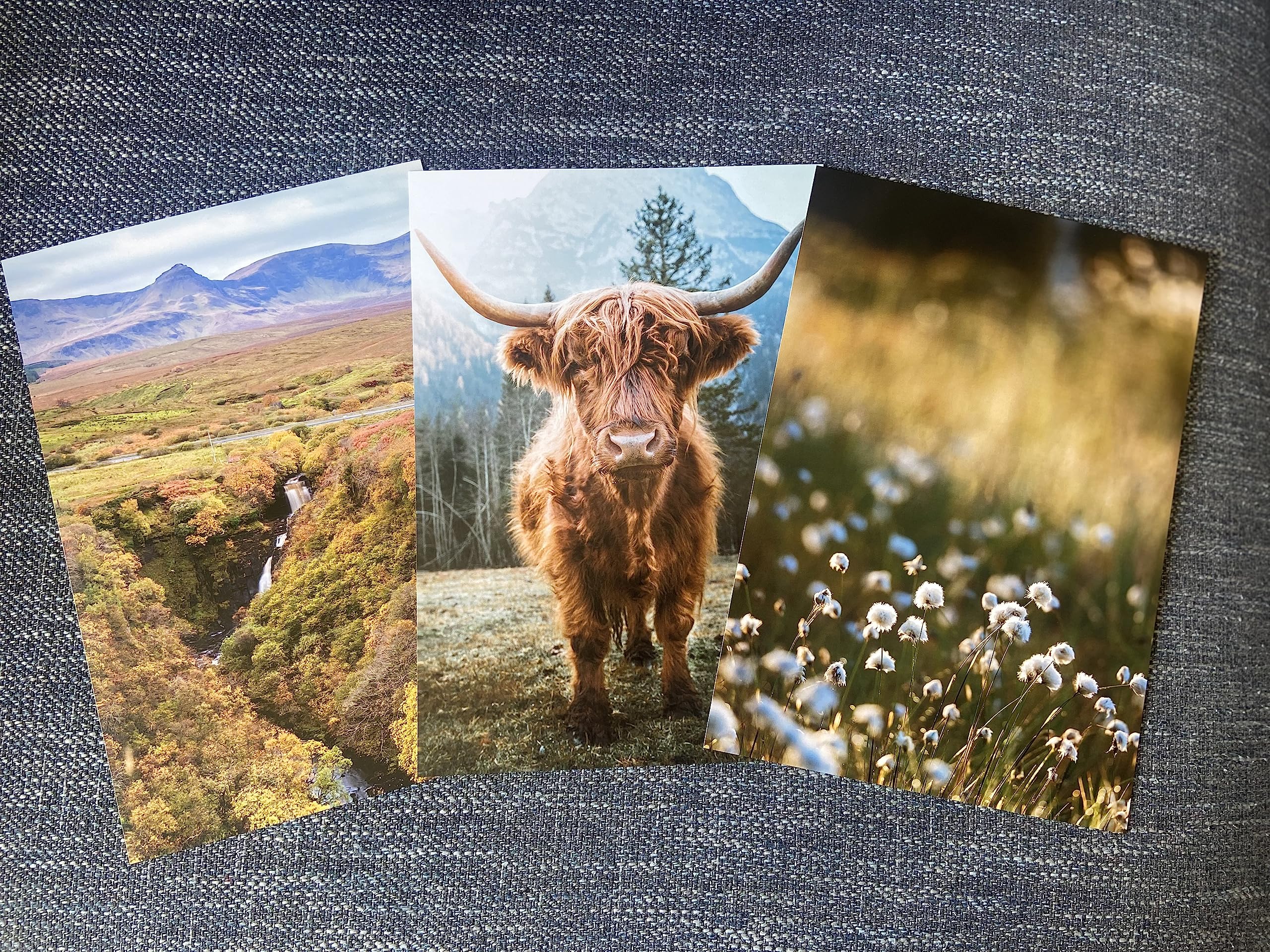 Eviepops Prints Highland Cow Set of 3 Unframed Wall Prints, Scottish Natural Landscape, Living Room Bedroom Home Décor - Image 2