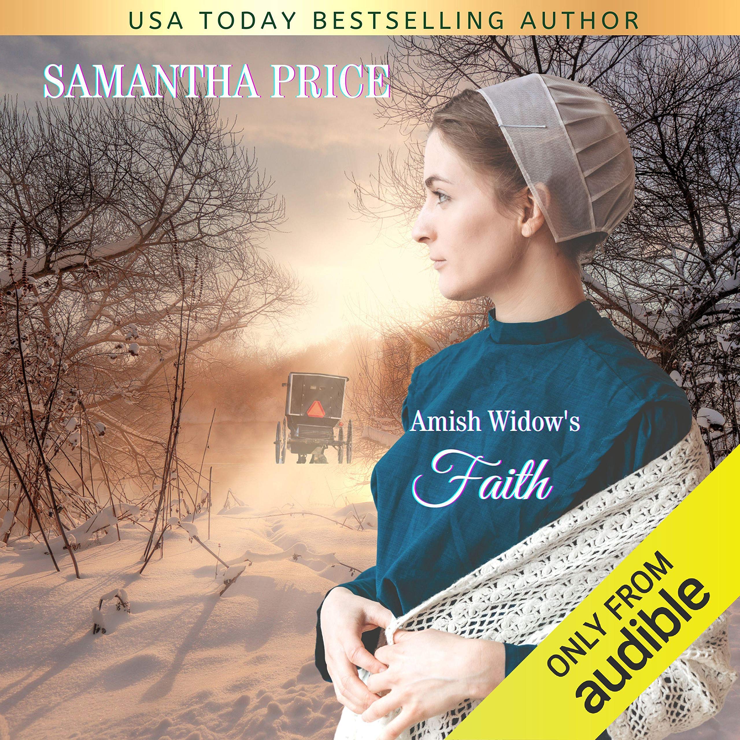 Cover art for Amish Widow's Faith