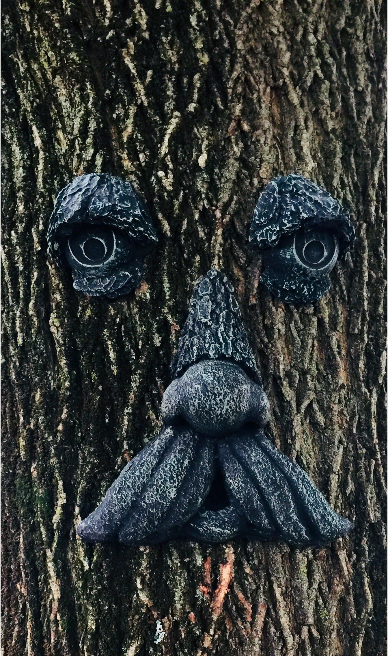 Mountain Man Tree Face (Iron Stone Moss)
