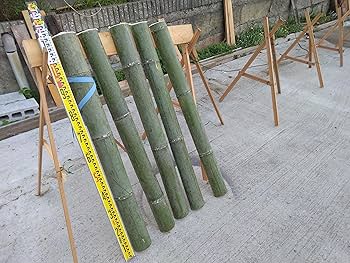 A1LGHoICuhL._AC_UF350,