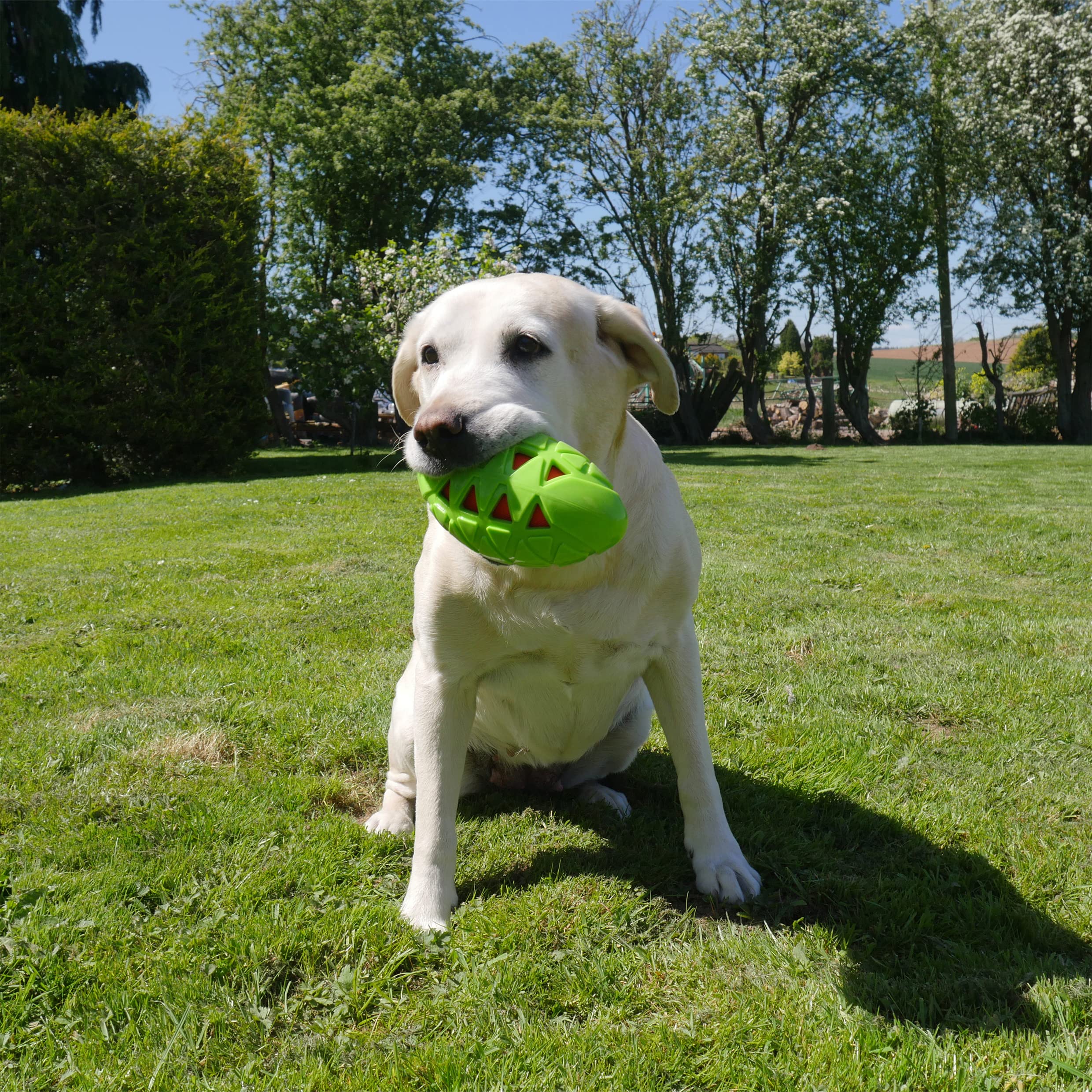 ROSEWOOD Pallone da Rugby Giocattolo per attività all' Esterno/Interno in Gomma Robusta per Cane Dimensioni Medio Lunghezza 12 cm