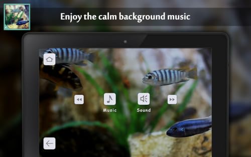 Fish Tank HD - Fish Tank for Fire TV