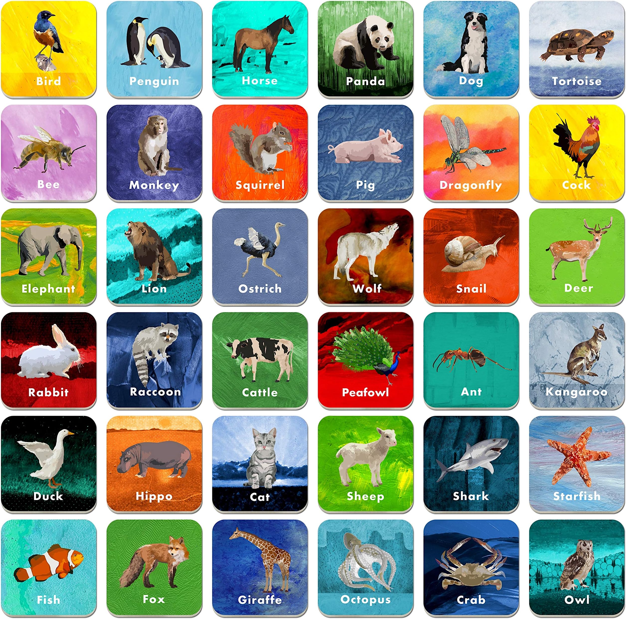36 Pair Animal Matching Game Flash Cards Erasable (Each Measures 2” X 2”)