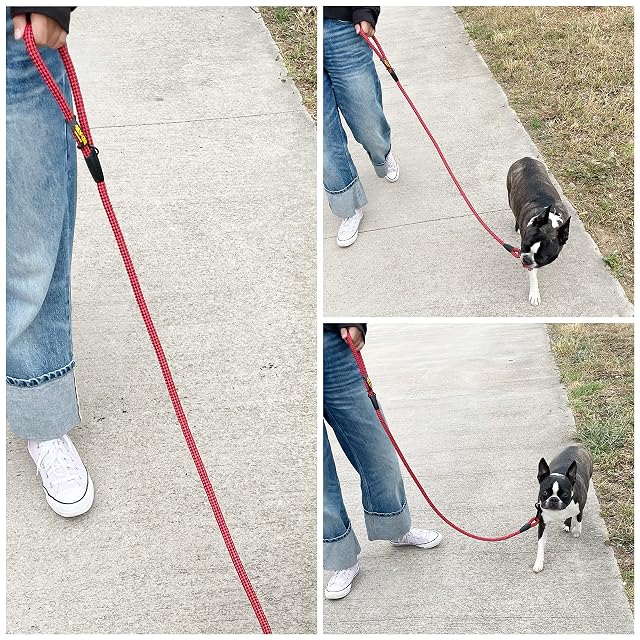 Foto 4 de 5 de Correa de Entrenamiento clásica para Perros, Cuerda de Nylon, Fabricada en España, para Perros pequeños
